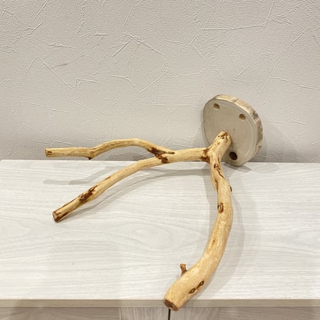 ピノキオの鼻 ①  貝塚伊吹