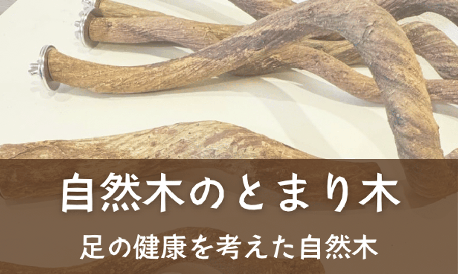 自然木の鳥用品 鳥豆堂【トリマメドウ】バードアスレチック・カクタス