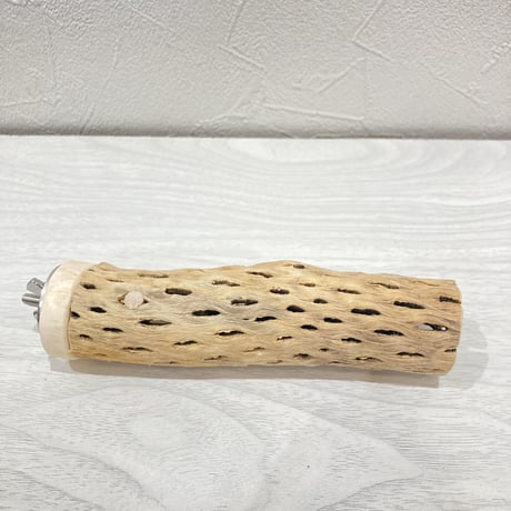 カクタスパーチ【3】小 直径約3.5cm 長さ13cm