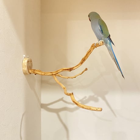 ピノキオの鼻 ⑥