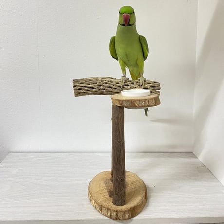 カクタスのスタンドパーチ①　パーチ長さ20cm／足高さ20cm