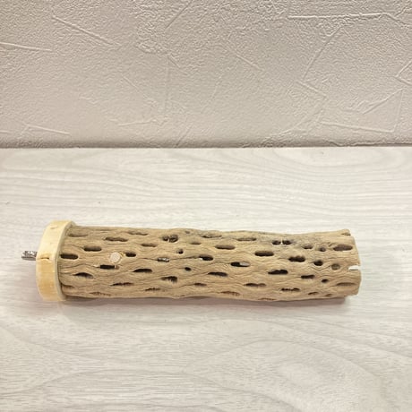 カクタスパーチ【G】  小 直径4cm前後 長さ15cm