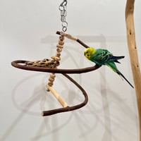 コトリのなる木ミニミニカスタム②　ツタのつり下げバードアスレチック【文鳥 インコ 自然木 止まり木】