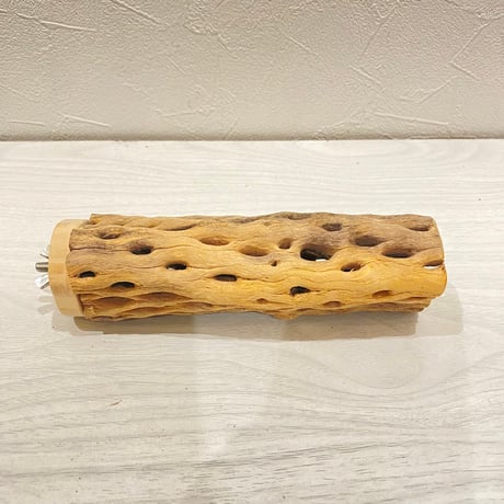 カクタスパーチ【18】直径4~5cm/長さ15cm