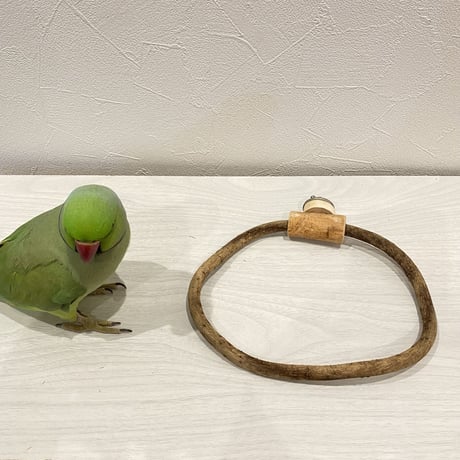 自然木（ツタ）のドーナツパーチ③ ビックサイズ  パーチ直径1cm／円直径19×16.5cm
