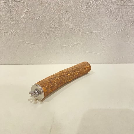 自然木（ツタ）パーチ②