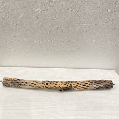 ケージサイズカクタスパーチ④  極小サイズ（直径2-3cm）HOEI465
