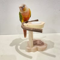 おやつ入れ付きスタンドパーチ【体重測定用】③