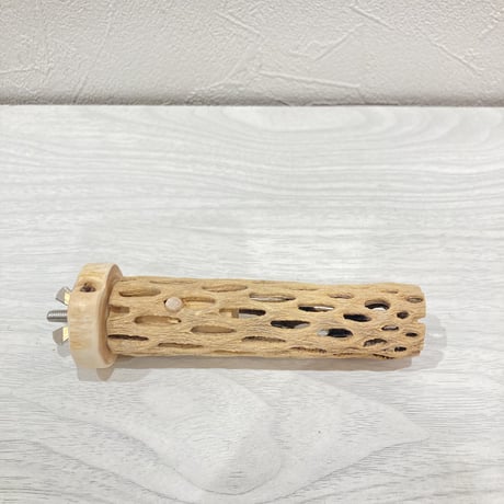 カクタスパーチ【1】極小 直径約3cm 長さ10cm