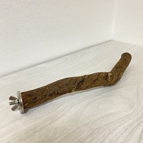 自然木（ツタ）パーチ②
