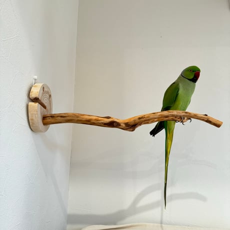 ピノキオの鼻 ②