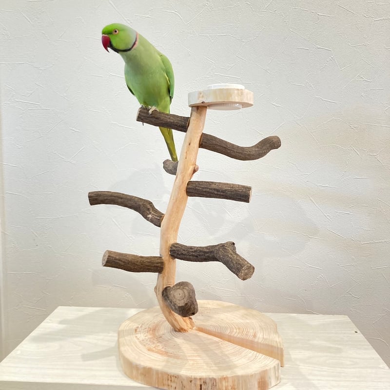 ツタのツリーバードアスレチック【インコのおもちゃ・自然木のとまり木