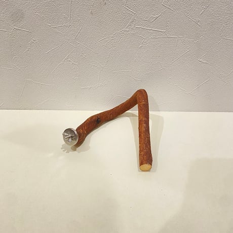 自然木（ツタ）パーチ 直径1.9~2.2cm/長さ16cm変形
