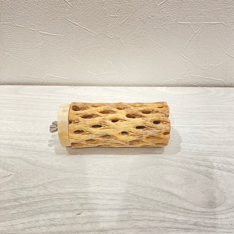 カクタスパーチ【2】直径4~5cm/長さ10cm