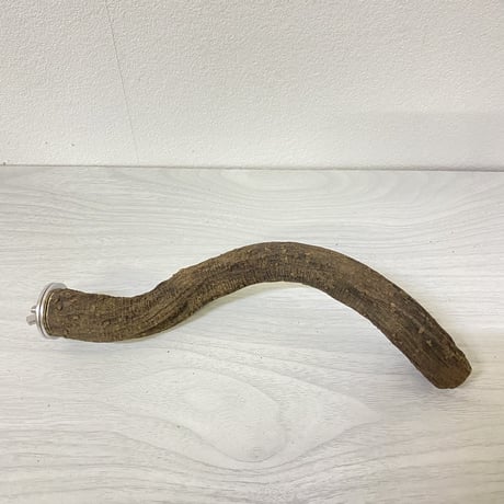 自然木（ツタ）のパーチ④　直径2.5cm 長さ21.5cm