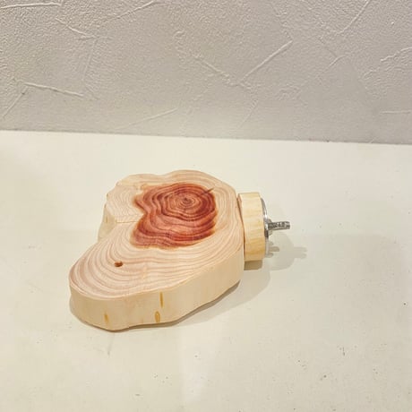 貝塚伊吹テーブルパーチ