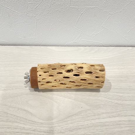 カクタスパーチ⑦  小 直径約4cm/11cm