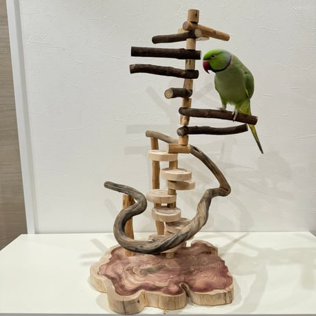 螺旋ツタパーチと螺旋階段のバードアスレチック【インコのおもちゃ・自然木のとまり木】