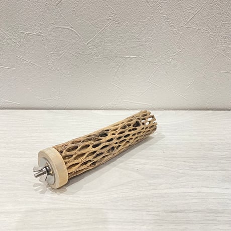 カクタスパーチ④ 小サイズ長さ15cm