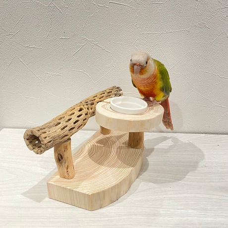 カクタスのおやつ入れ付きスタンドパーチ
