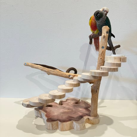 ツタと螺旋階段のバードアスレチック【インコのおもちゃ・自然木のとまり木】