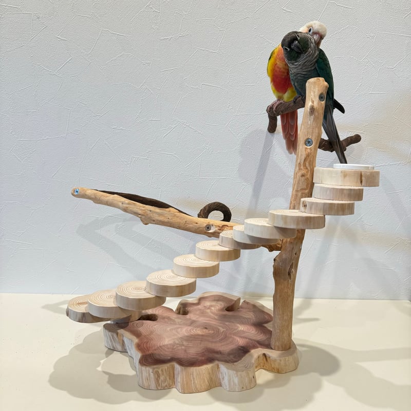 ツタと螺旋階段のバードアスレチック【インコのおもちゃ・自然木の