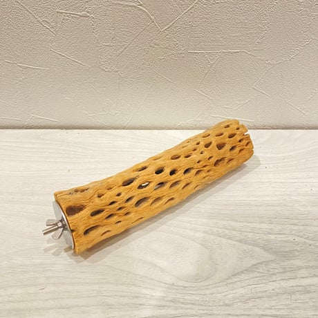 カクタスパーチ【28】直径4~5cm/長さ20cm