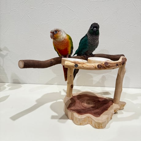 ツタのおやつ入れ付きスタンドパーチ  【インコ 自然木 止まり木 】