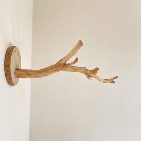ピノキオの鼻 ⑥