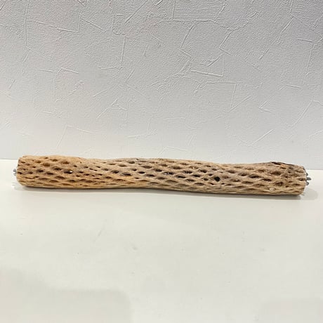 ケージサイズカクタスパーチ② 直径約4.5cm HOEI465サイズ