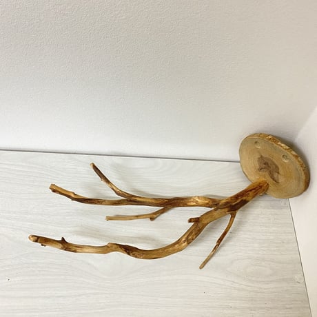 ピノキオの鼻 ④