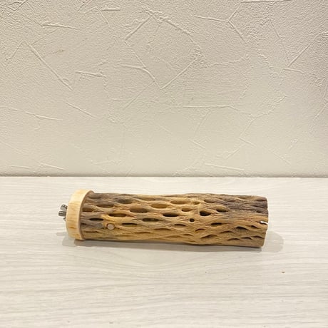 カクタスパーチ【16】 小直径3.5cm/15cm