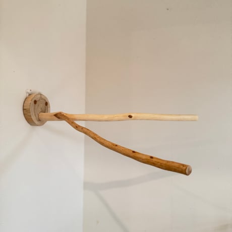 桧のピノキオの鼻④