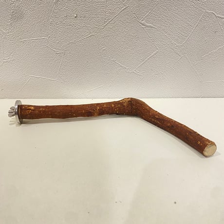 自然木（ツタ）パーチ 直径約1.5cm/長さ27cm