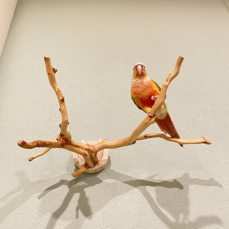 ピノキオの鼻 ③