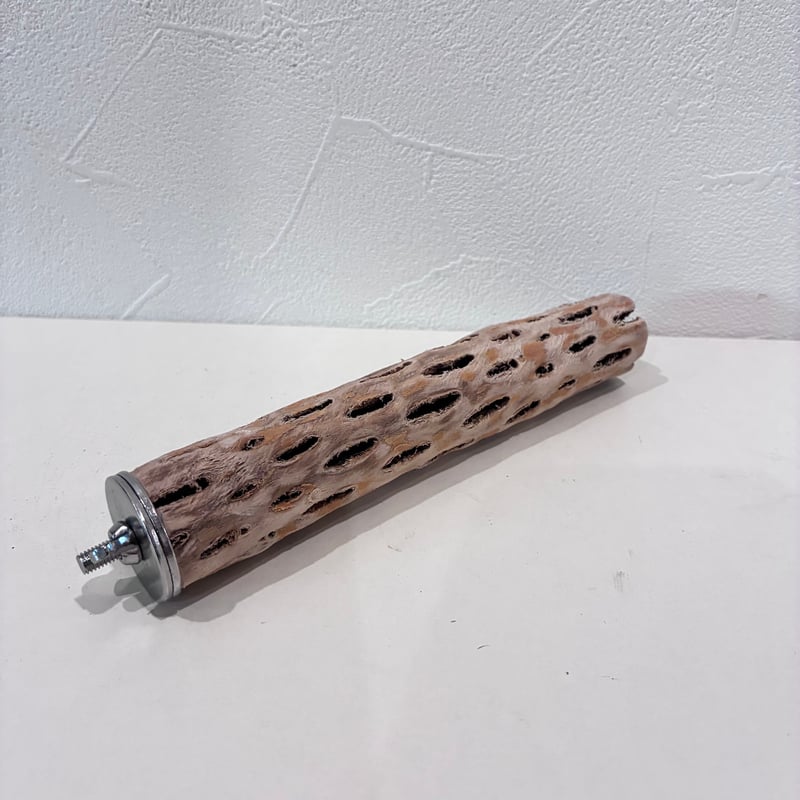 カクタスパーチ極小サイズ⑱ 直径2.5~3cm/長さ15cm【自然木 止まり木