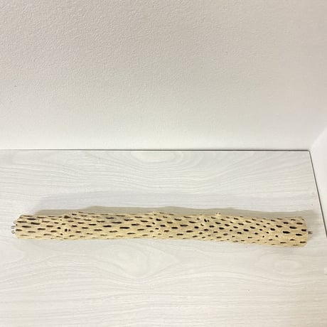 ケージサイズカクタスパーチ⑦ 小サイズ直径3-4cm HOEI465サイズ