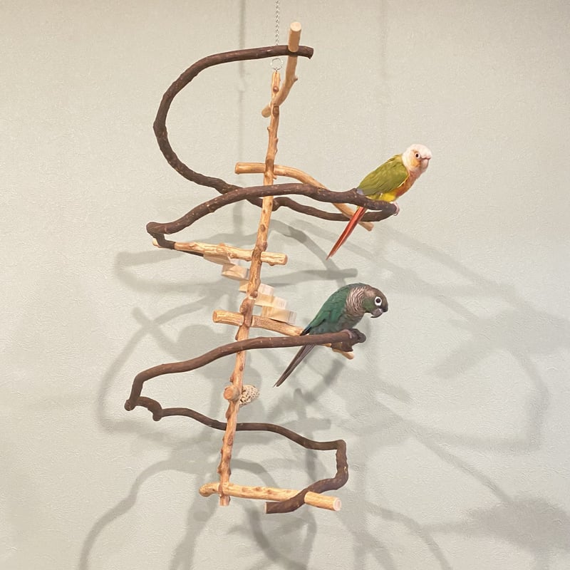 kanimiso77様専用】つり下げゆらゆらバードアスレチック【インコのなる