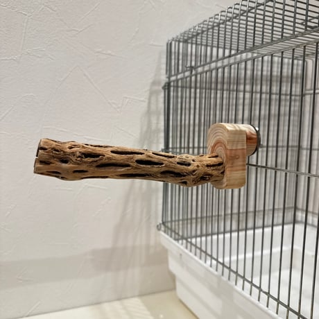カクタスパーチ極小サイズ⑥ 直径2.3cm/長さ15cm【自然木 止まり木 バンブルフット 趾瘤症 】
