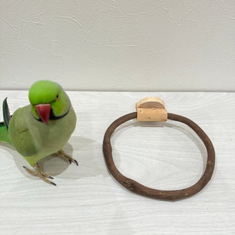 自然木（ツタ）のドーナツパーチL【太めサイズ】