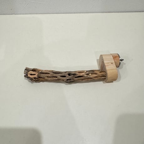 カクタスパーチ極小サイズ 直径約2cmcm/長さ15cm【自然木 止まり木 バンブルフット 趾瘤症 】