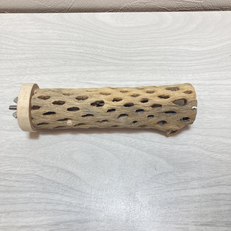 カクタスパー（11）小3-4㎝長さ15㎝