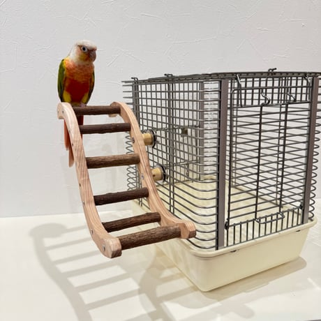 ウェーブラダー ハシゴ 【自然木の止まり木 インコのおもちゃ】
