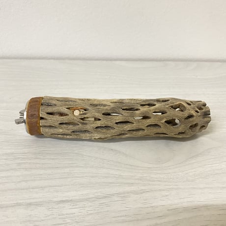 カクタスパーチ② 極小サイズ 直径（約2-3cm）長さ/14cm