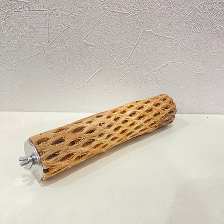 カクタスパーチ⑤ 直径約4cm/長さ20cm