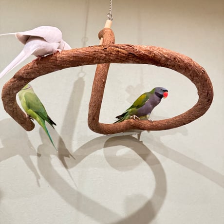 超でかいとぐろちゃんブランコ　【インコのおもちゃ 自然木】