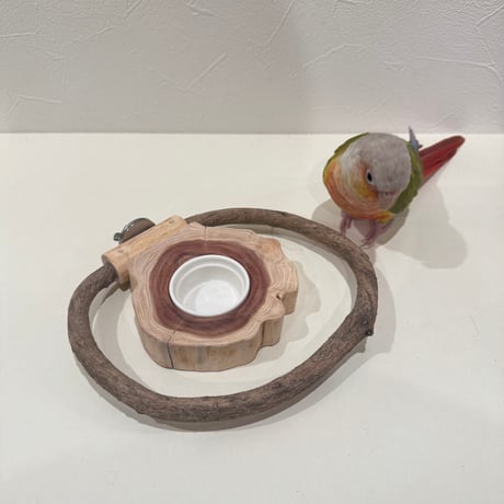 ごちそうドーナツパーチA 【インコ 自然木のとまり木 パーチ バンブルフット予防】
