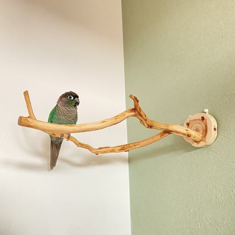 ピノキオの鼻⑤