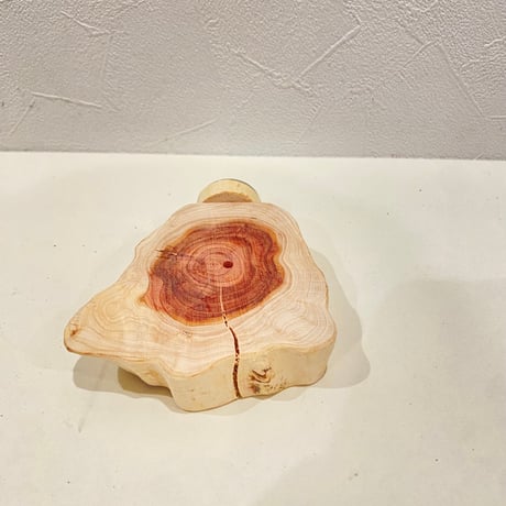貝塚伊吹テーブルパーチ  ⑧