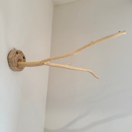 桧のピノキオの鼻 ⑦